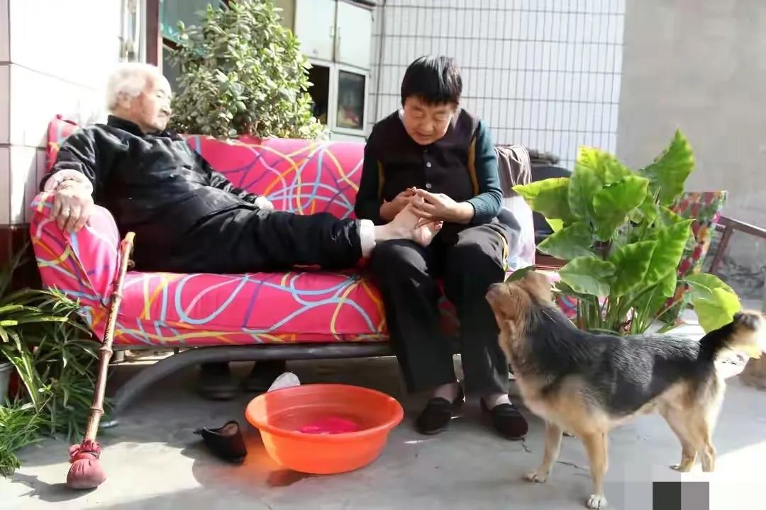 活了30年才知道的养生小技巧,114岁老中医的养生术