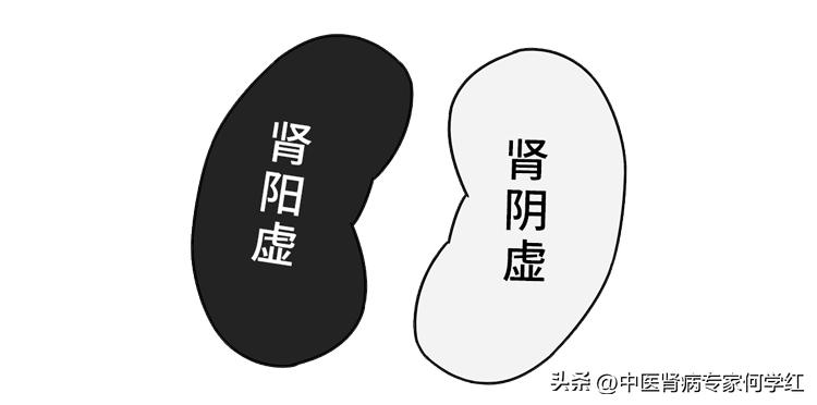 肾虚会引起肌酐升高吗,肾虚会导致肌酐轻微升高吗