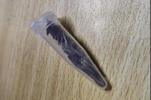 “穿越”古代判案，学皮肤美容！中山大学神仙课程火了，门门精品