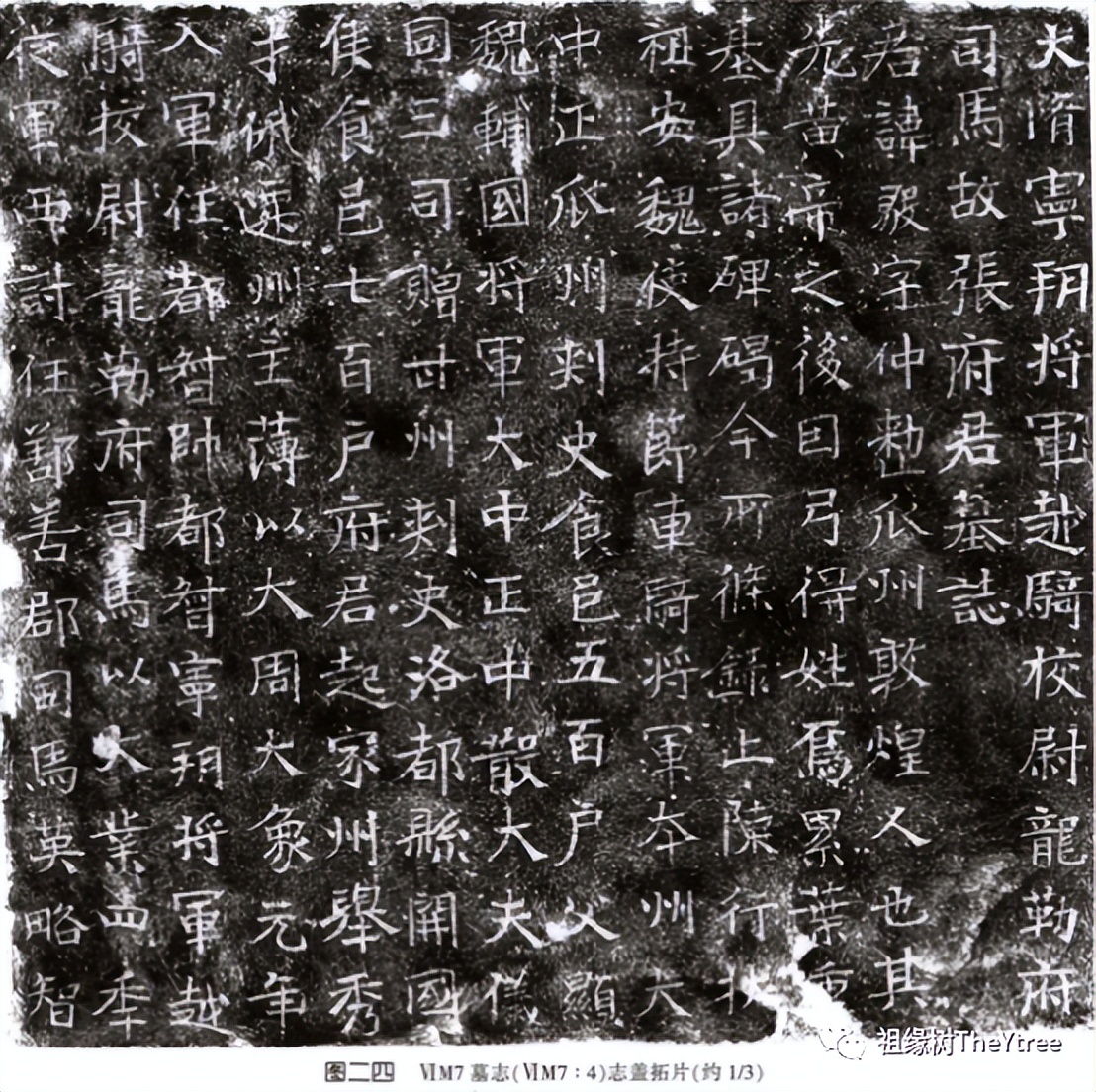 谁把别人家的祖坟挖出来了,祖坟被谁挖了