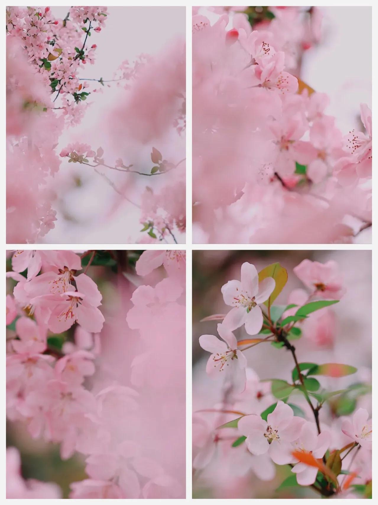 苏州儿童网红打卡地有哪些,苏州网红打卡地先后顺序