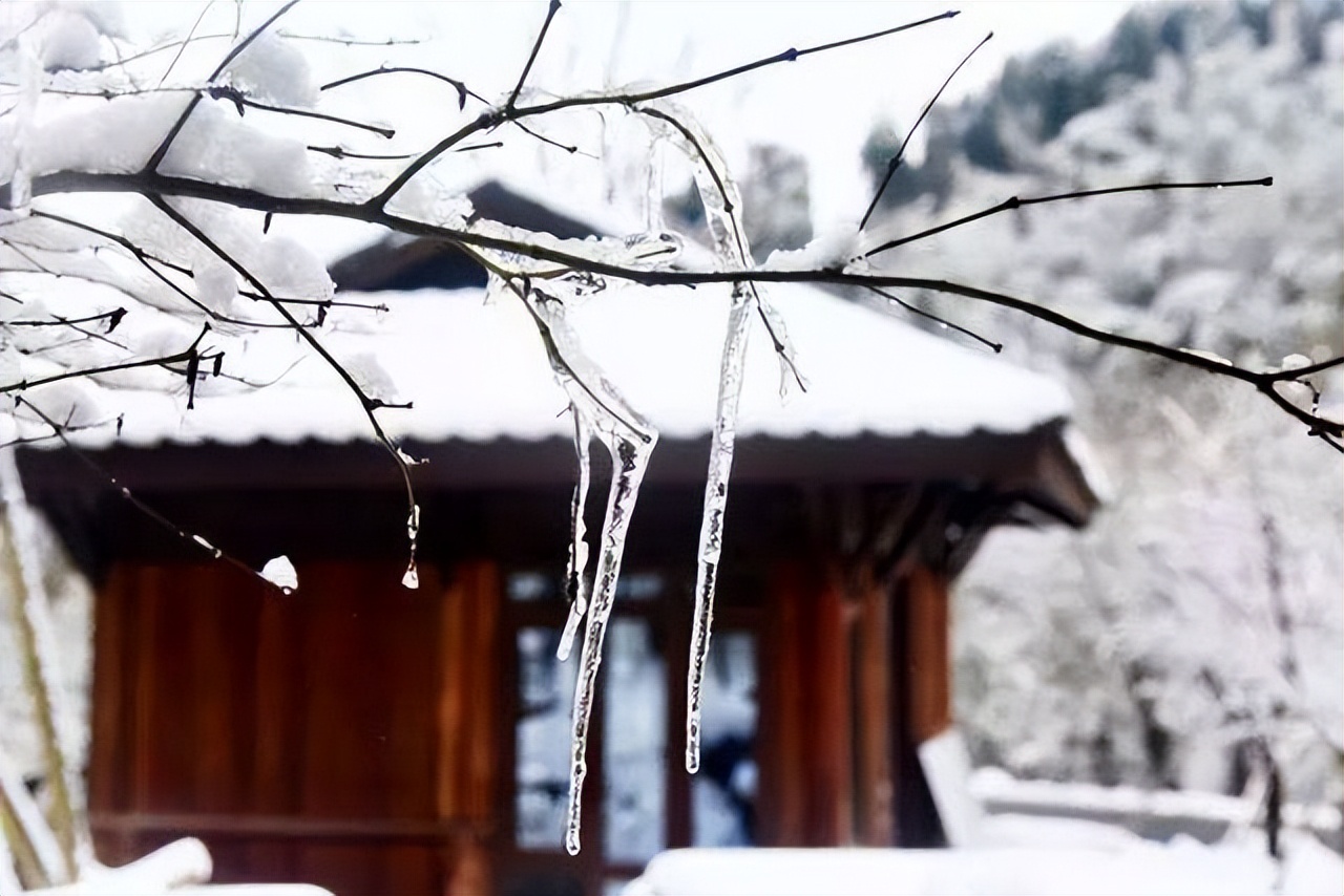 关于人生相遇的古诗词,关于不期而遇的古诗词