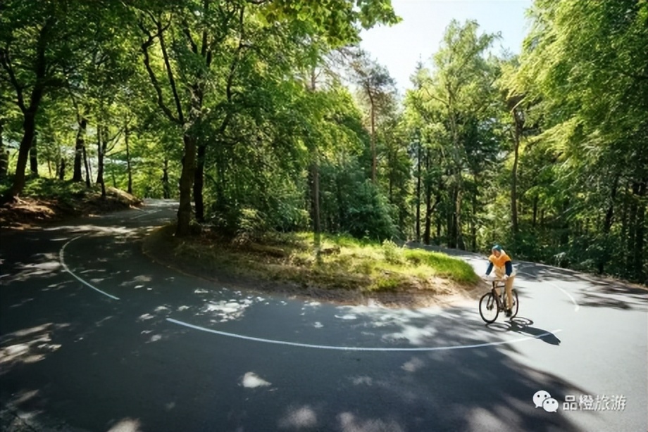 荷兰自行车王国,中国与荷兰半决赛视频