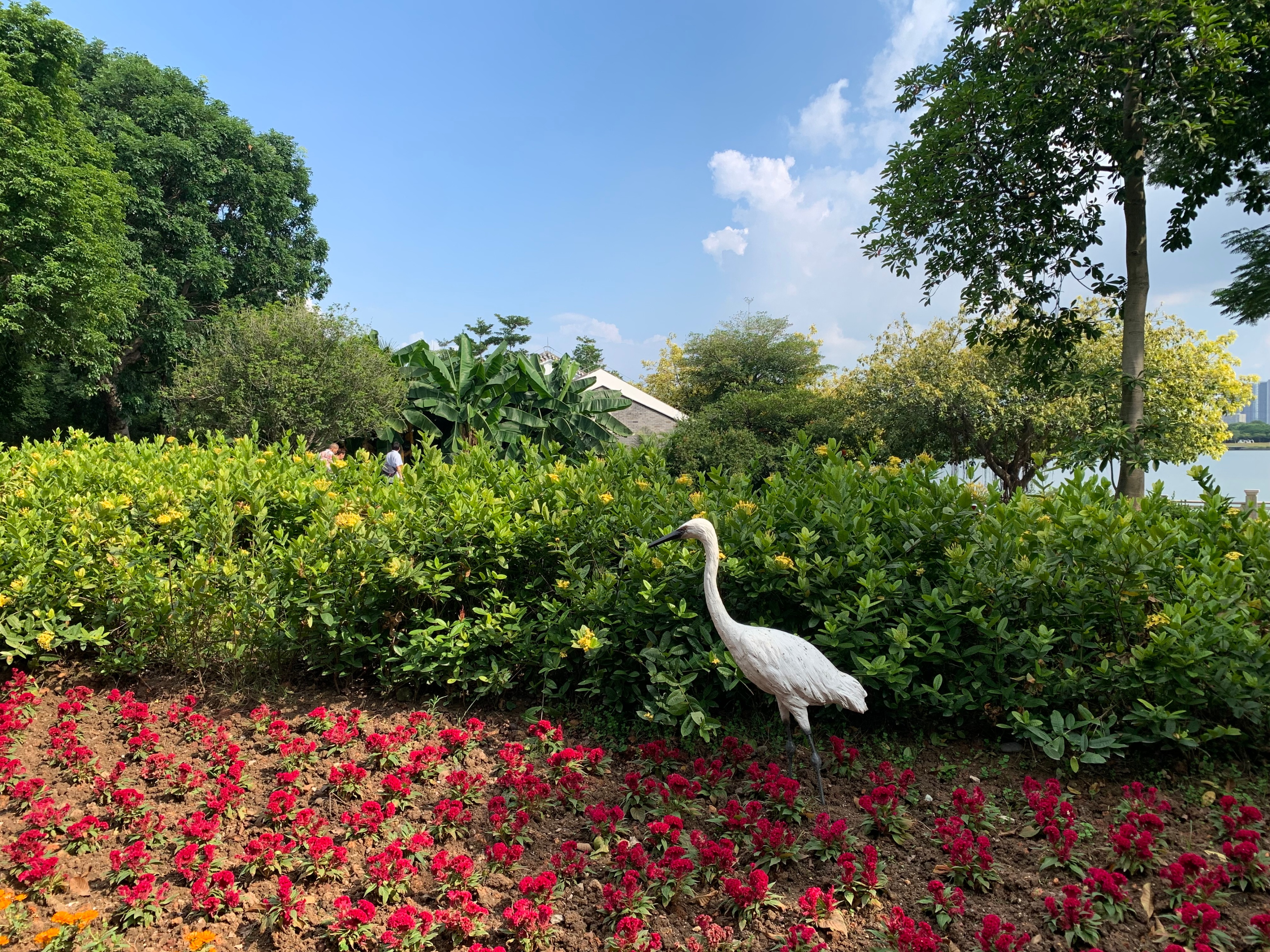 2022海珠湖公园春节游玩,海珠湖湿地公园最佳游玩时间