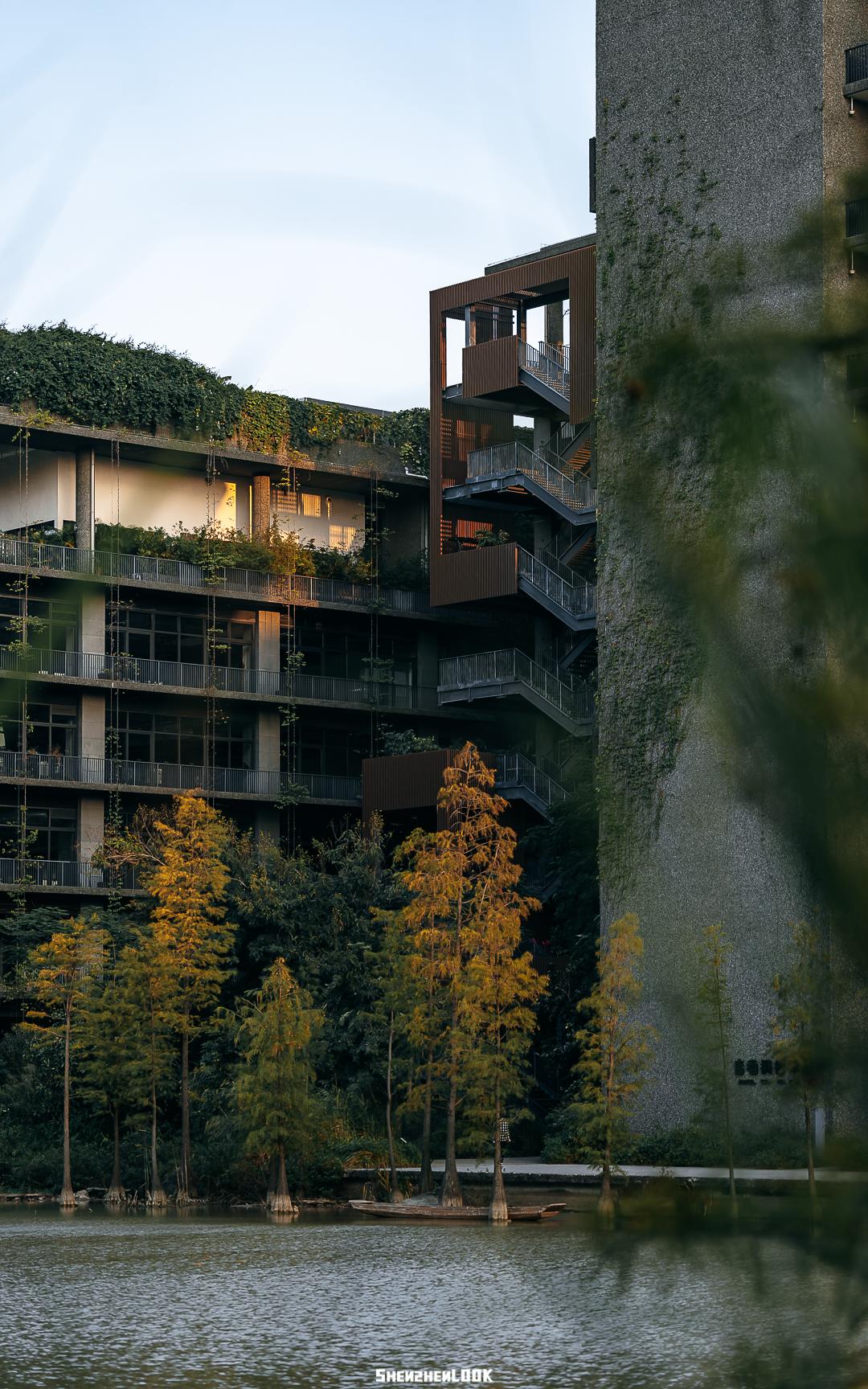 大美深圳全部视频,大美宝安