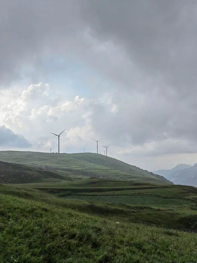 灏忓ぉ灞遍夯鐢板箔鏅尯鍦ㄥ摢,楹荤敯宀皬澶╁北鐢ㄩ绾﹀悧