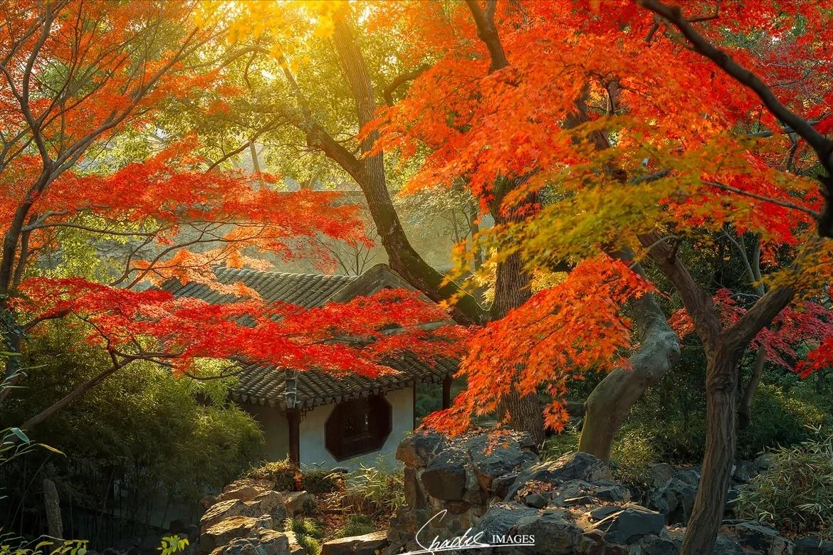 去苏州必玩的十大园林,苏州宝藏园林盘点