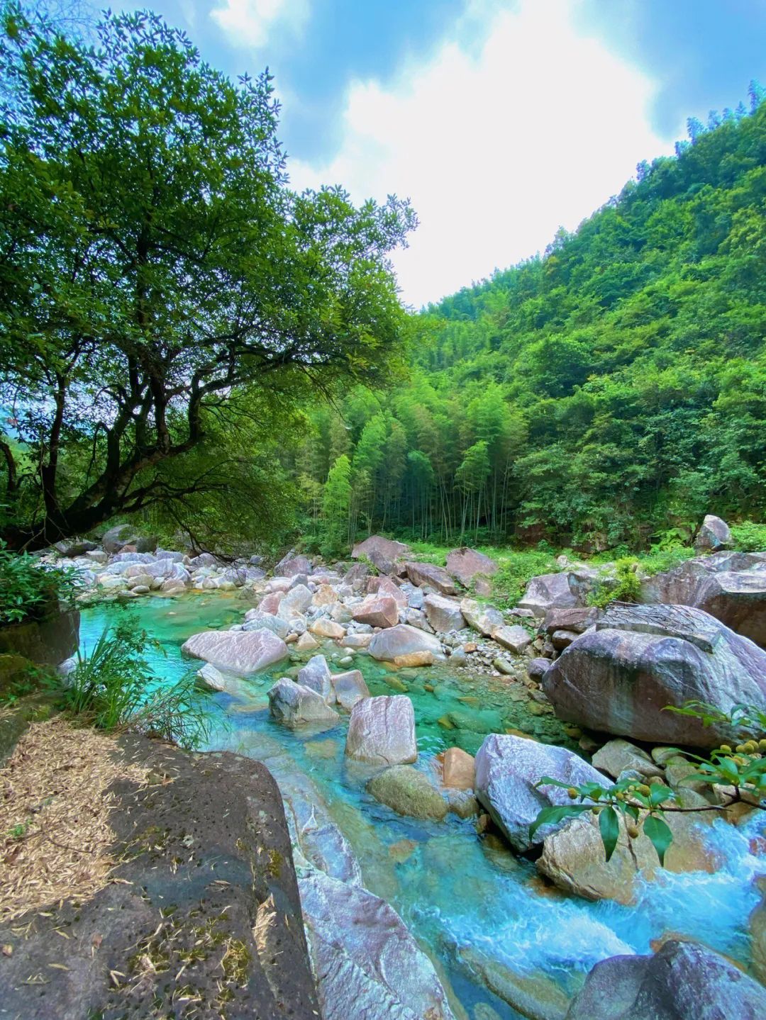 广西夏天哪里的河最适合玩水,广西一年四季玩水好去处