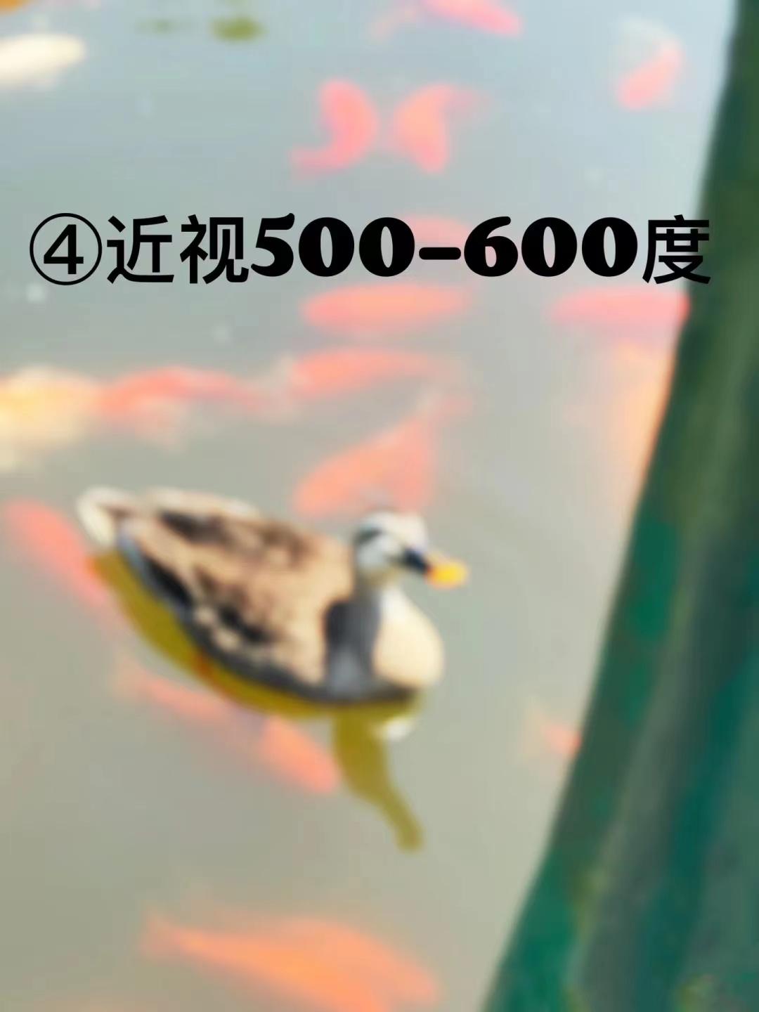 近视多少度以上要一直持续戴眼镜,近视多少度可以不戴眼镜正常生活