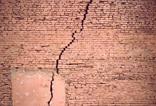 壁虎为什么有毒,为什么有的人会害怕壁虎