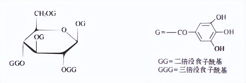 鞣质草药,黄芪的主要成分为鞣质和挥发油