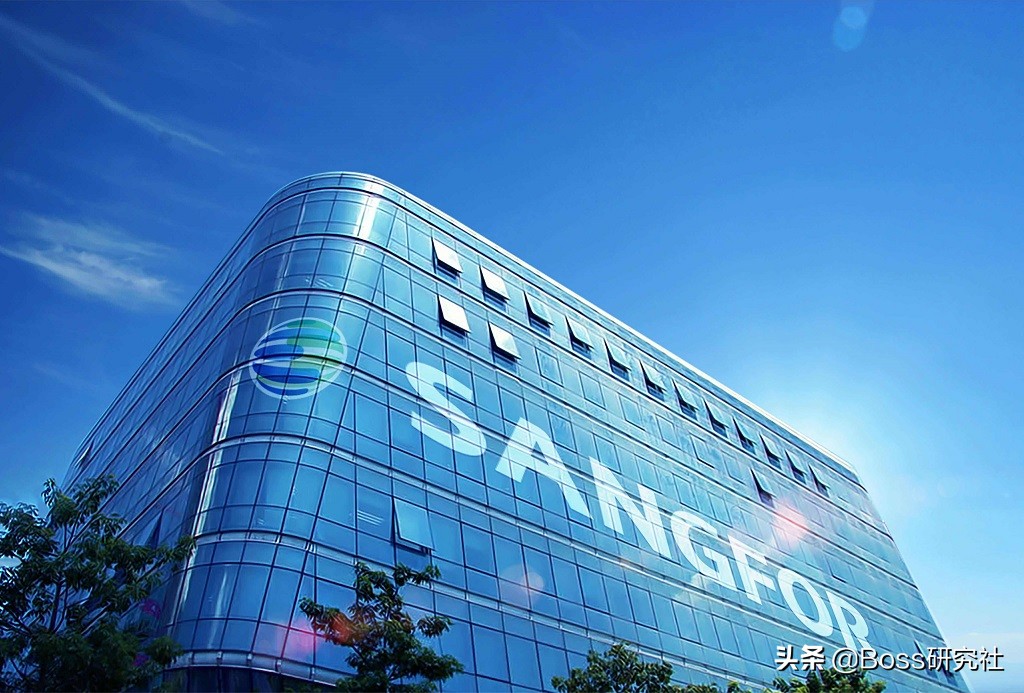 随州雷裕国身价,随州身价过亿女老板