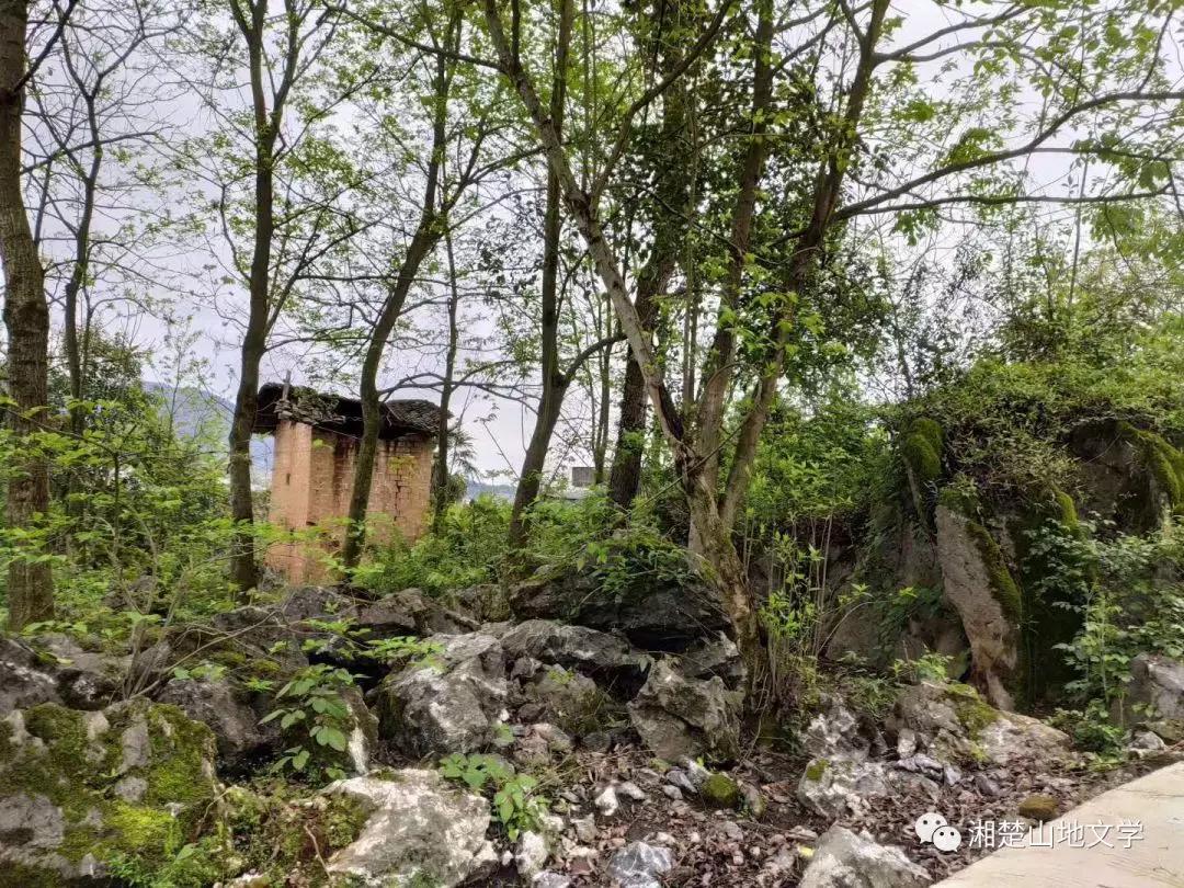 母亲是文盲沟通很困难,妈妈是文盲想认字