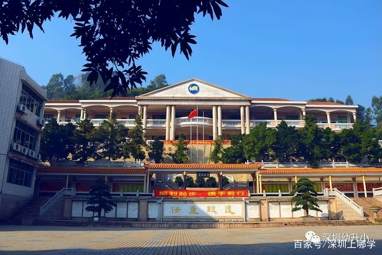 深圳南山真的那么强吗,深圳南山强吗