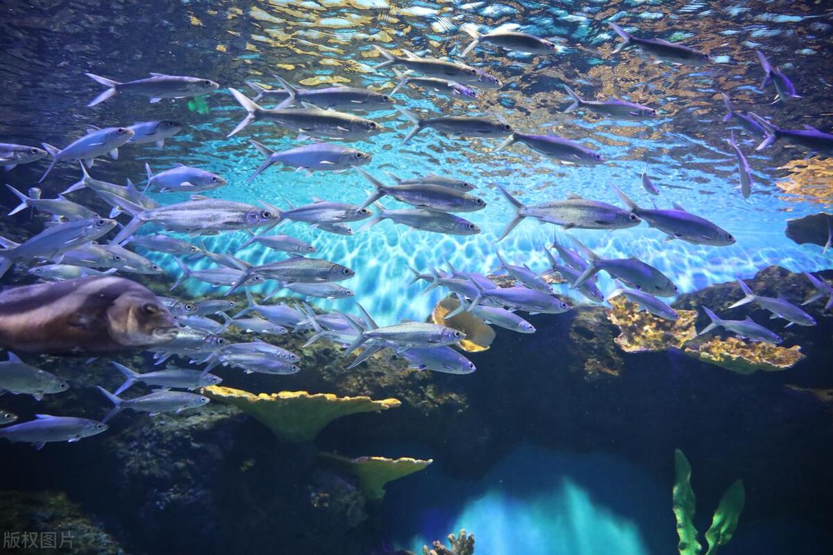 成都十大知名景点地名,成都必去十大景点排名