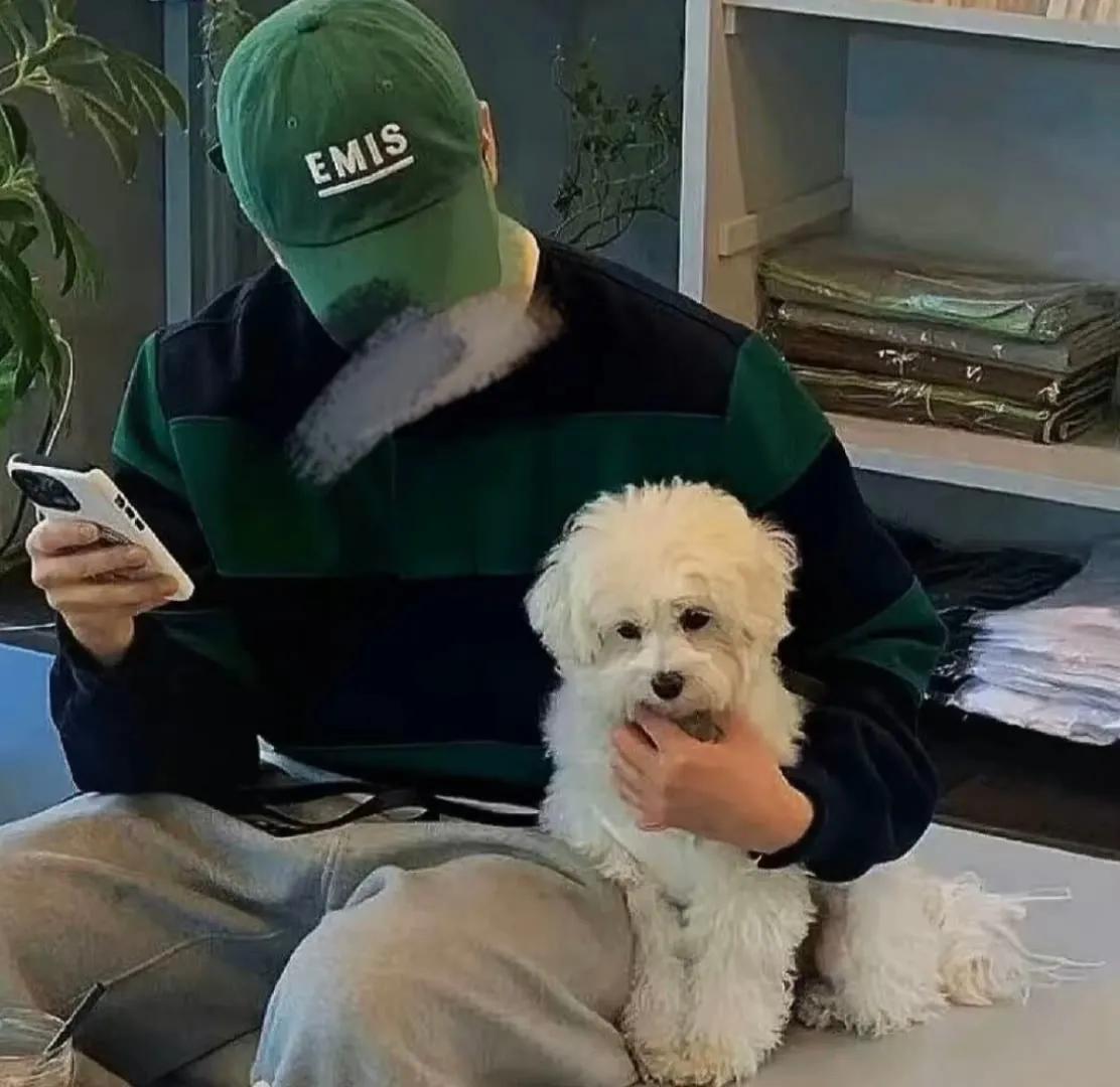 男生头像可爱呆萌,男生头像微信