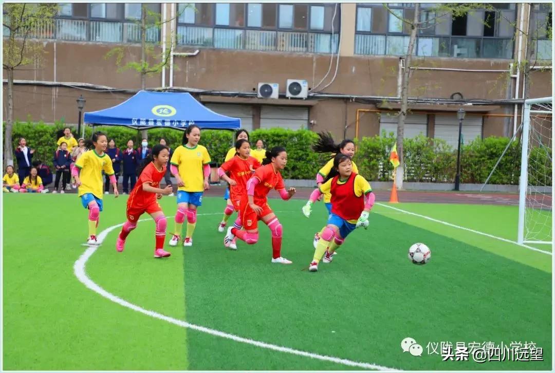 仪陇县新政小学足球联赛2023,仪陇县新政小学第九届足球比赛