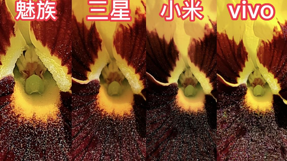 魅族20对标哪款手机,魅族20发布了几种规格