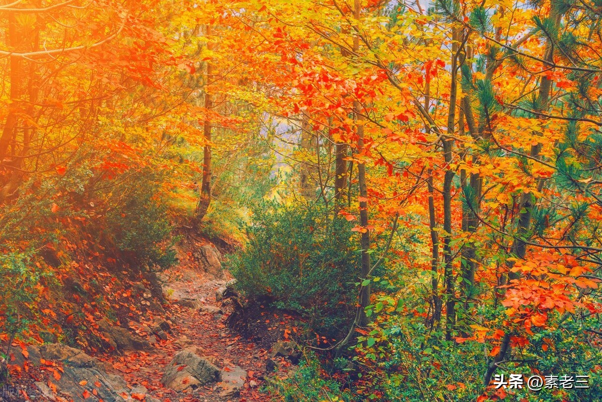 女作家去做保姆474,女作家去做保姆583