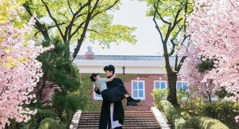 神圣的偶像韩剧讲的什么,木偶的季节韩剧推荐