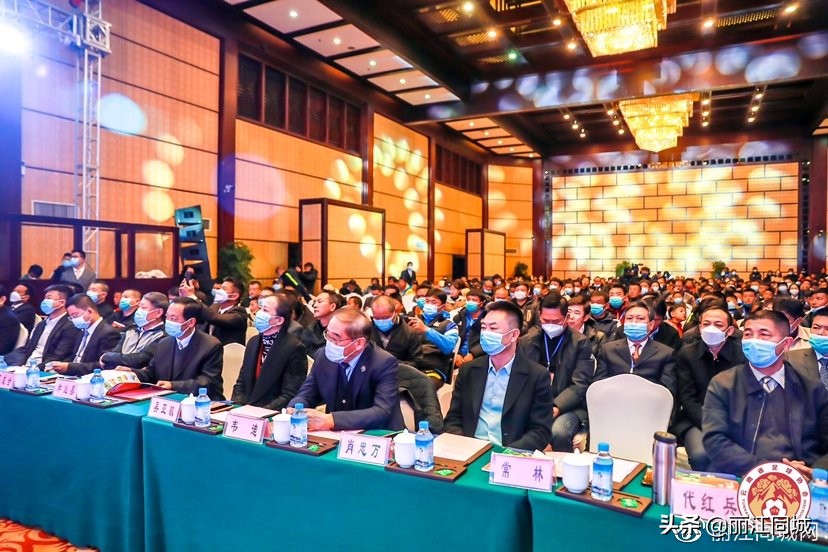 2024年青少年云南省足球联赛,云南省青少年足球联赛2024