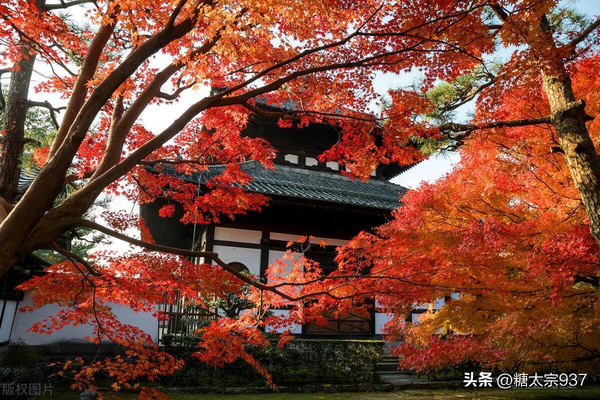 日本东京必去景点大全,日本旅游必去的10大城市推荐