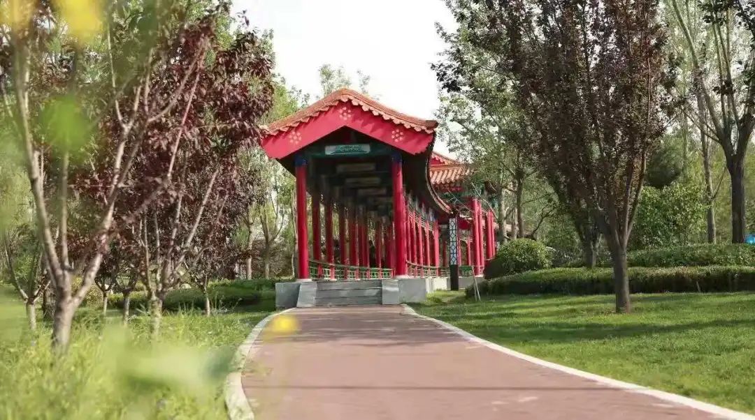 南京大厂露营,十一期间露营地