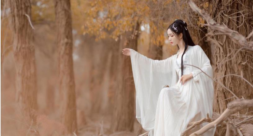 盘点三本高人气穿越重生小说,盘点3部超高人气穿越重生小说