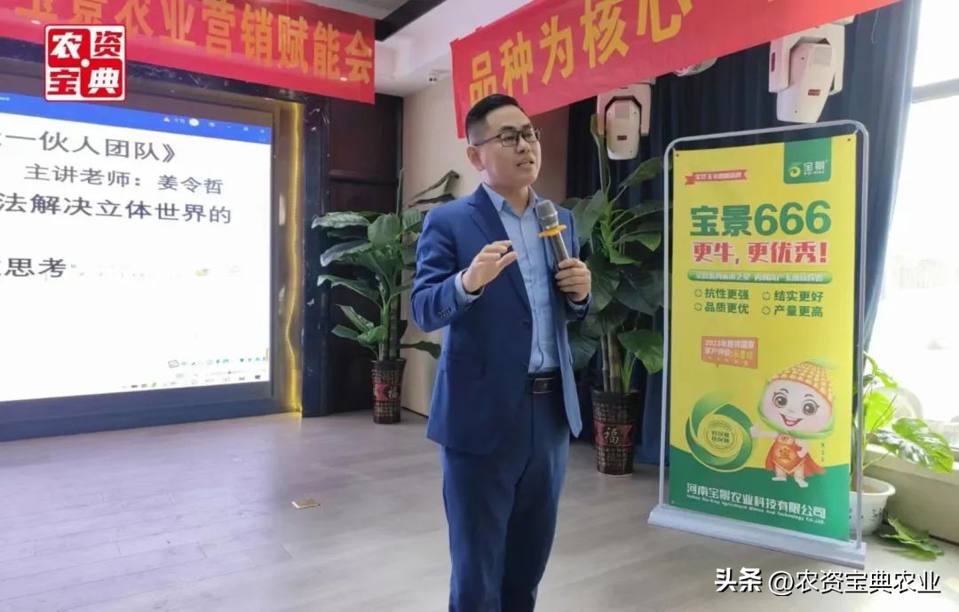 宝景玉米新品种,宝景666与宝景186比哪个更高产