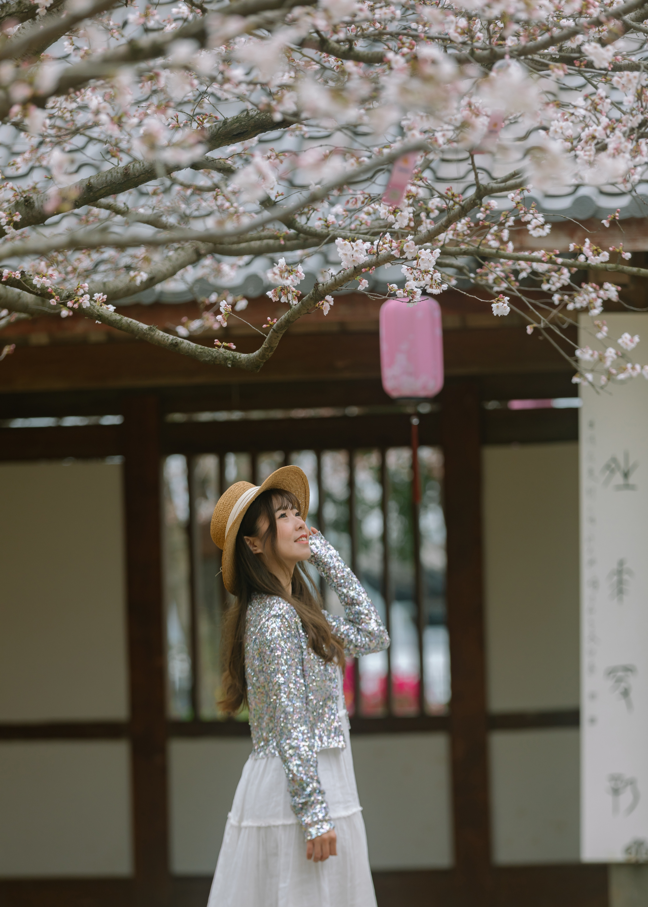 鼋头渚樱花盛宴比日本更令人沉醉,太湖鼋头渚樱花美如画