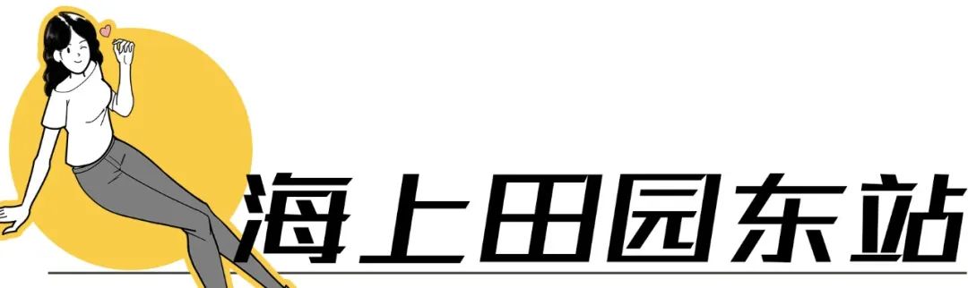 深圳地铁五号线十号线游玩地点,深圳地铁12号线最新最全线路图