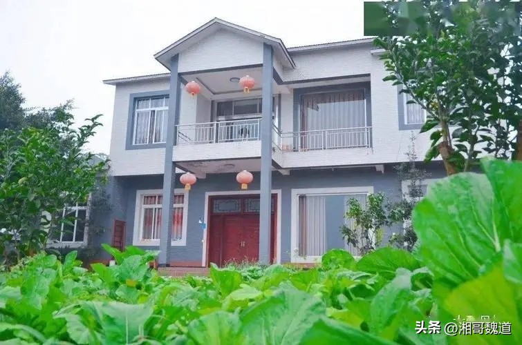 为什么年轻人都不愿意回到农村,为什么会有很多年轻人回到农村