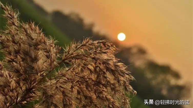 中国史上最美36首诗词,中国最美诗词十首