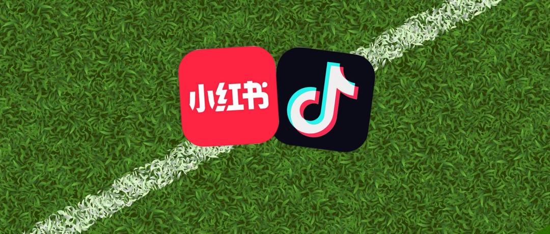 种草vs拔草,种草vs避雷