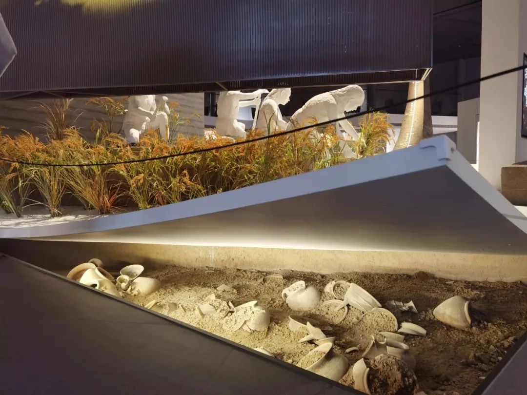 【关注】苏州11号线今天“万人试乘”！换乘方便吗？上海交通卡能用吗？要二次安检吗？看这里→