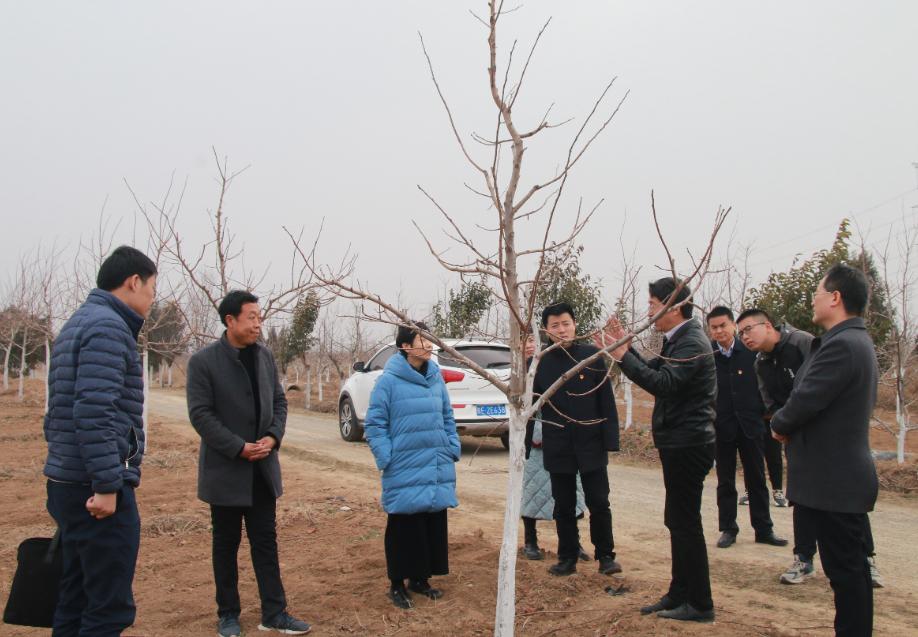 富平县政协,富平政协