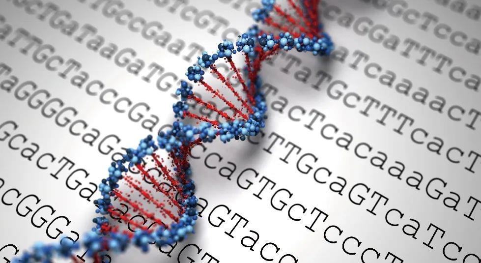 科学研究：有哥哥的男生更有可能成为同性恋