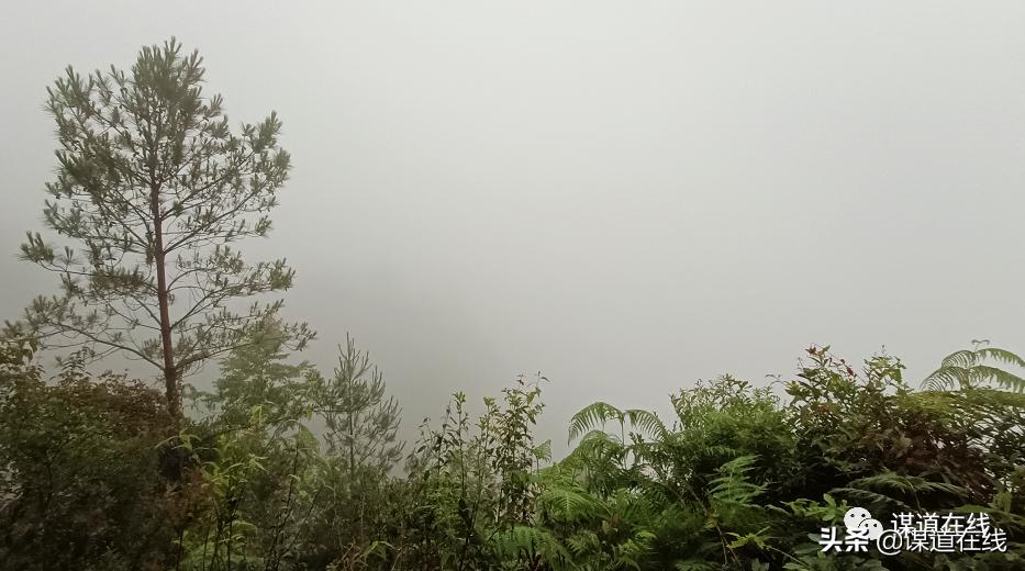 为什么都喜欢来苏马荡度假,苏马荡一道美丽的风景线