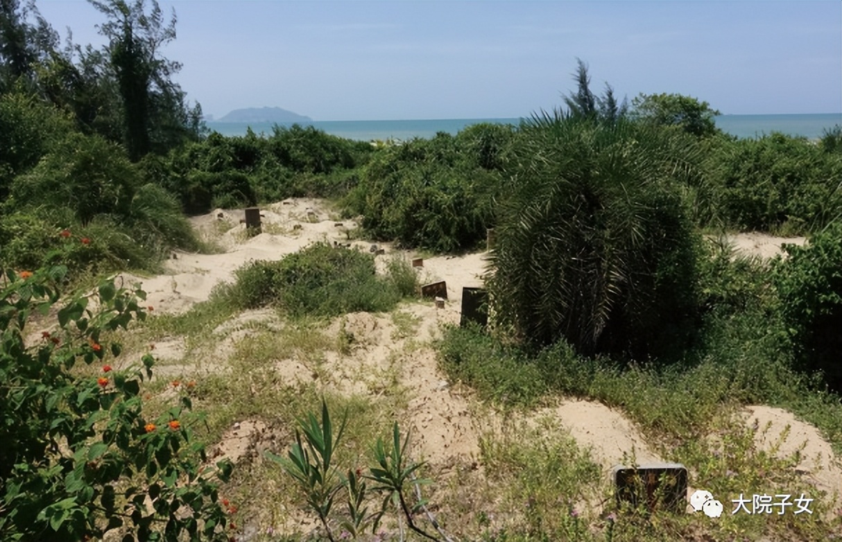 孙新生简介,孙新生