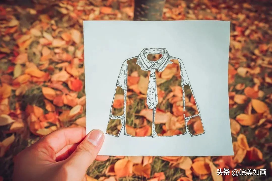 安徽大学好看的风景,高校最美秋景