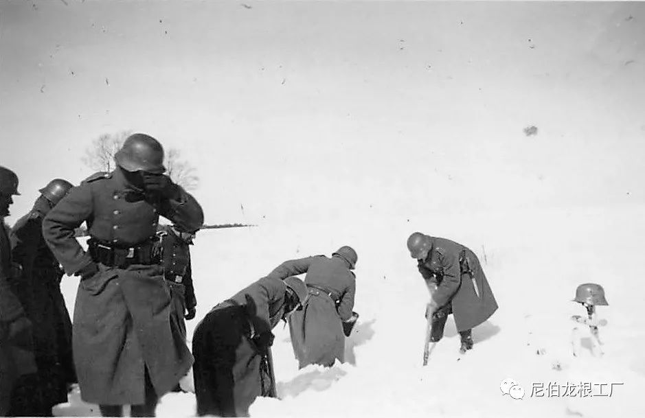 好收吾骨瘴江边全诗,好收吾骨瘴江边翻译