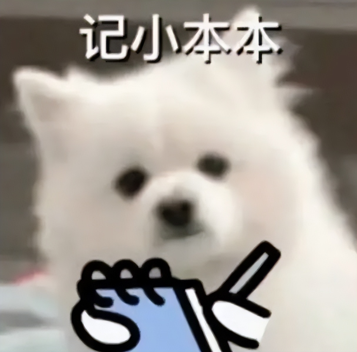 夫妻性腹痛是什么原因,每次发生性腹痛是什么原因