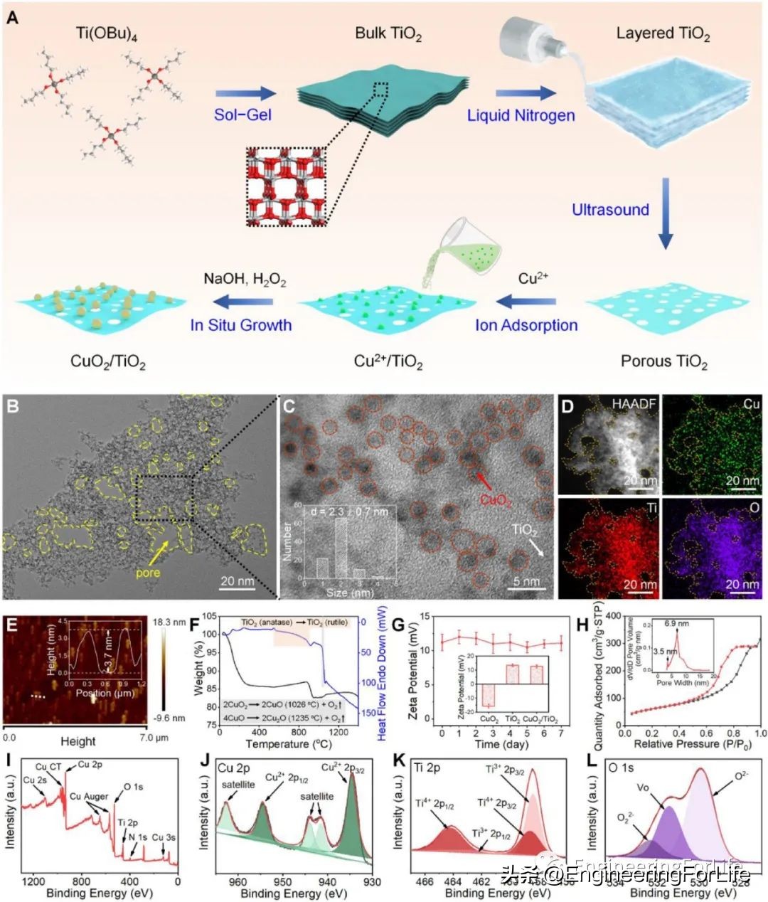 《ActaBiomater.》:超声激活微针用于声温抗菌治疗