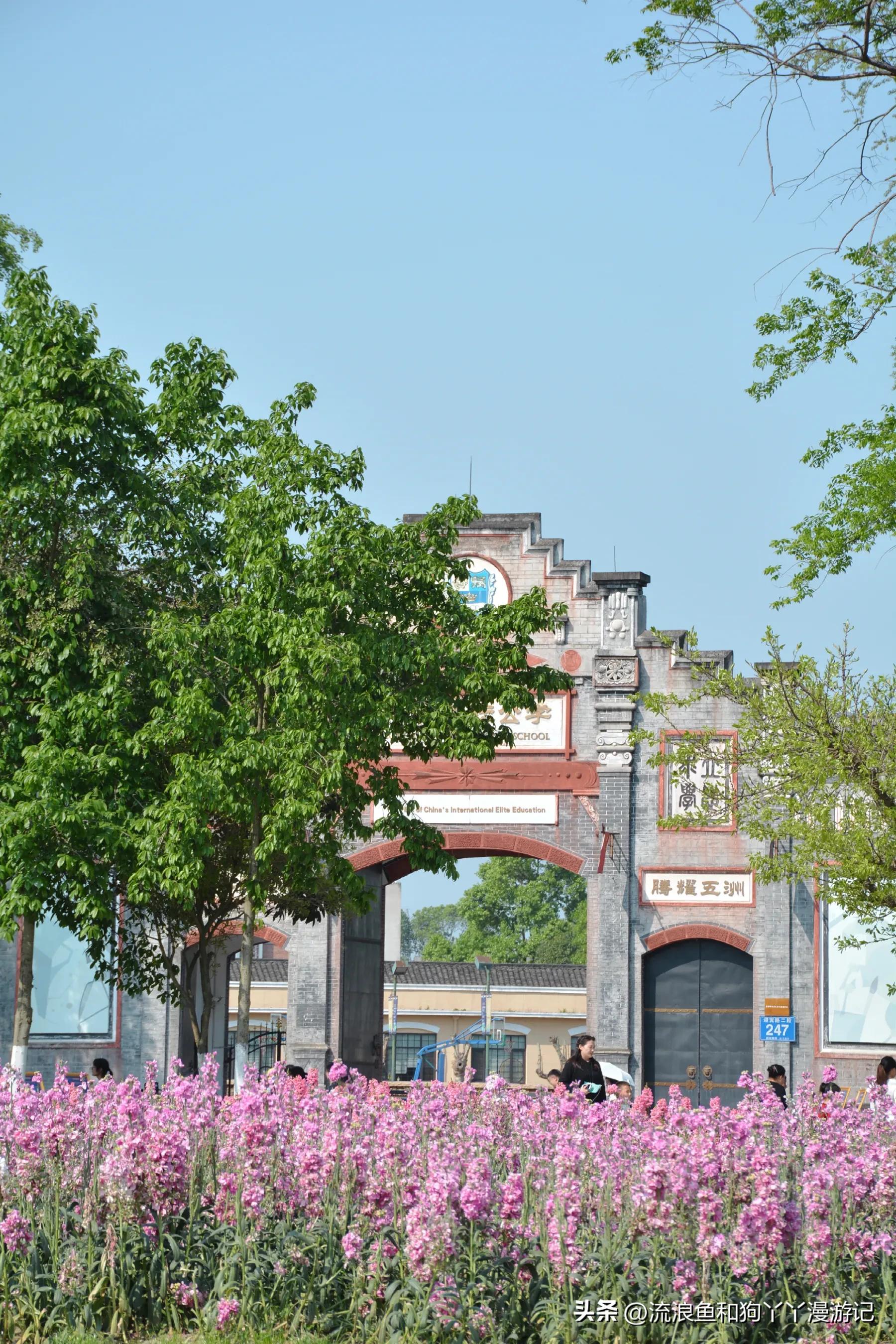 四月份成都近郊一日游好去处,2022成都近郊看雪一日游最佳去处