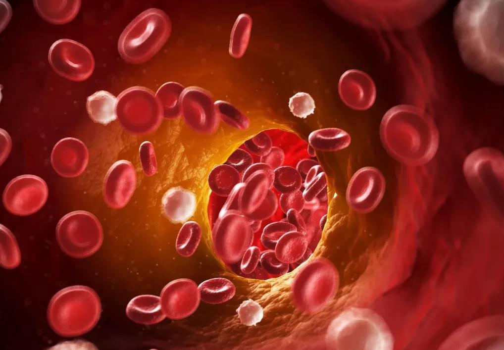 上海胆囊息肉中医哪个医生最好,北京中医看胆囊息肉最好的专家