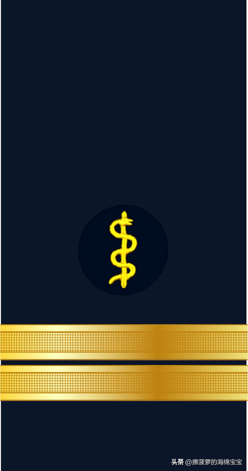 二战德国国防军医疗兵军衔标志