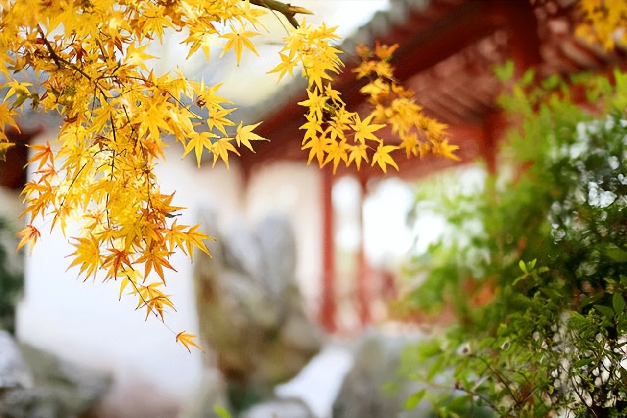 中国的五行太厉害了,中国为什么叫中国五行