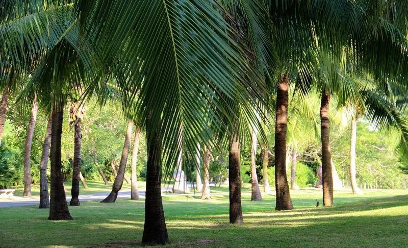 最美海南五天四晚畅游海岛,海南海岛旅行攻略
