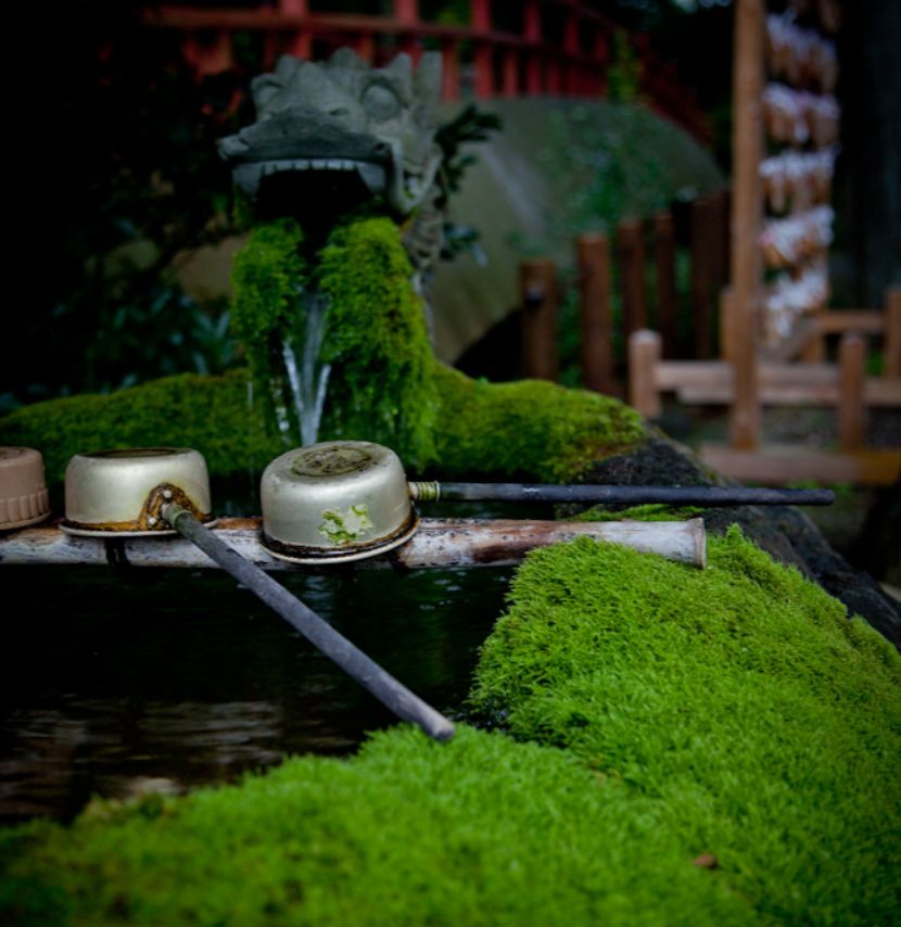 生活没有捷径只能一步一个脚印,生活有捷径