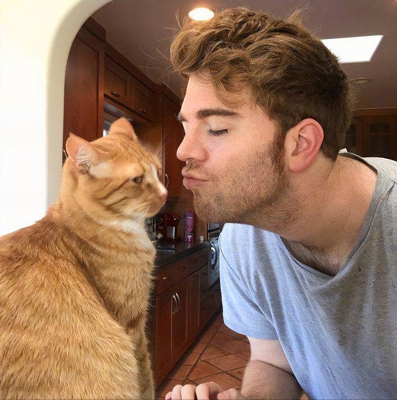 养猫一年后我发现我得了6种病,再次提醒养猫会得这7种病